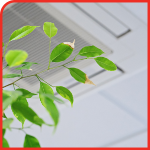 Indoor Air Quality